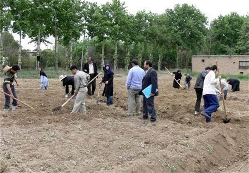 فارغ‌التحصیلان هنرستان‌های کشاورزی را تبدیل به مدیرانی خوب برای مزارع کنیم