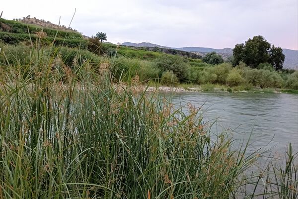 نجوای ارمند؛ سمفونی طبیعت در آبچنار