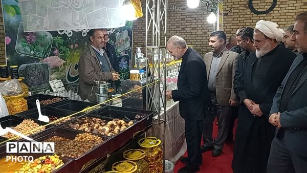 جلوه‌هایی از مراسم افتتاح نمایشگاه بهاره شهر جعفریه