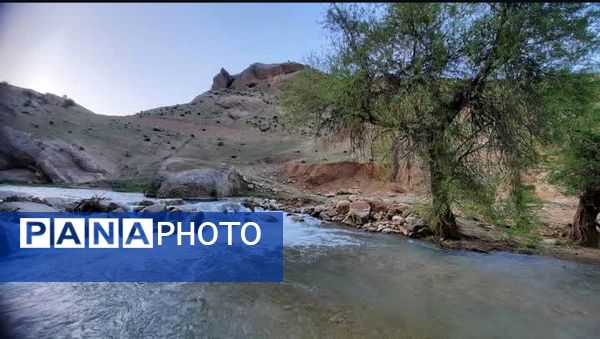 طبیعت سر سبز رفن به هنگام بهار