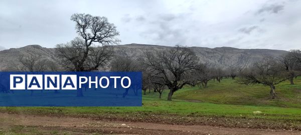 هنر در طبیعت نهفته است