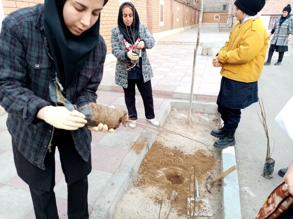 زینت بخشی مدارس شهرستان قدس با کاشت نهال های جوان