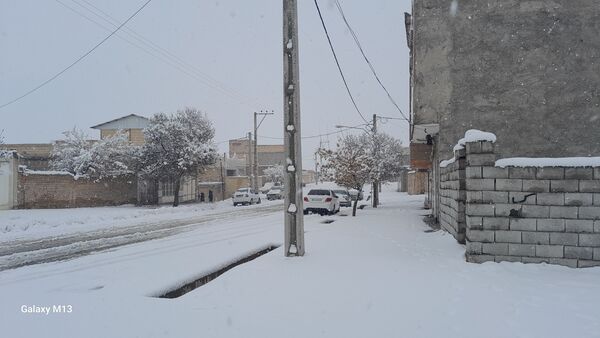 عروس فصل‌ها باری دیگر مهمان شهرستان بن