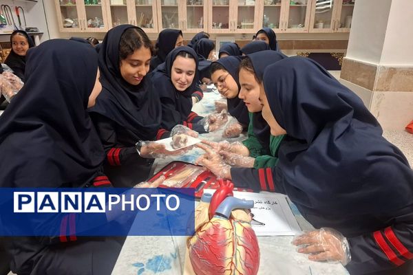 کارگاه تشریح قلب برای دانش آموزان فرزانگان شهرستان ملارد