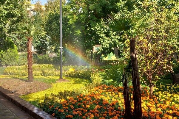 طبیعت زیبای همدان در قاب دوربین
