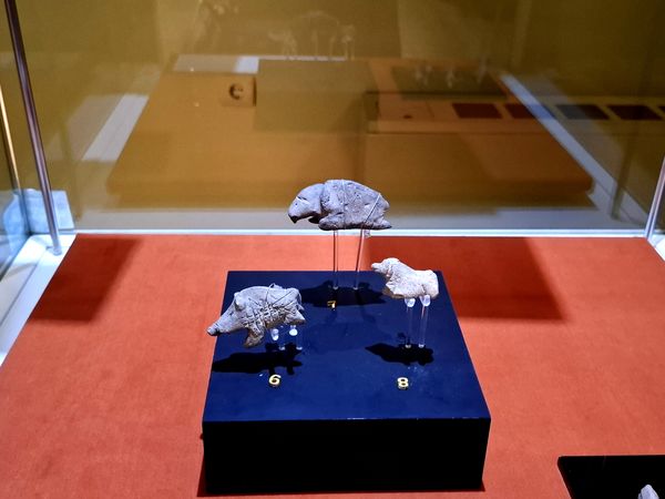 گشتی در تاریخ؛ از مدرسه دارالفنون به سمت دوره ایران باستان