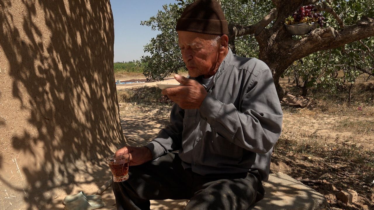 مستندی درباره آداب خوشه‌چینی انگور در جشنواره اقوام ایرانی 