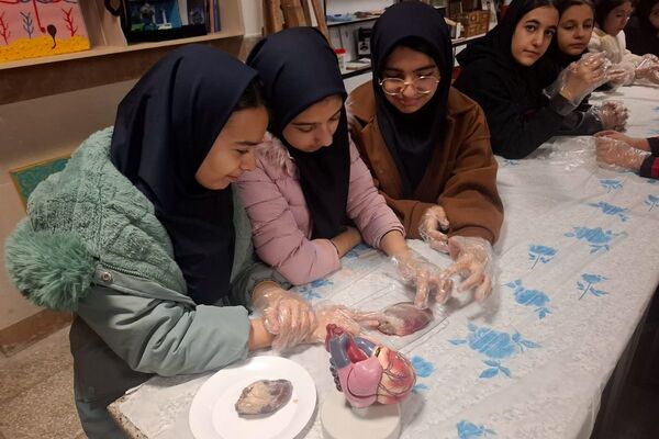 کارگاه تشریح قلب برای دانش آموزان فرزانگان شهرستان ملارد