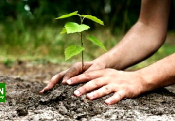 در حفظ فضای سبز و نگهداری درختان کوشا باشیم