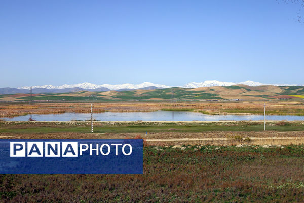 تور رسانه‌ای بازدید از تالاب‌های حوضه آبریز دریاچه ارومیه