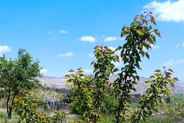 تصاویری از طبیعت زیبا و دیدنی روستای بردج