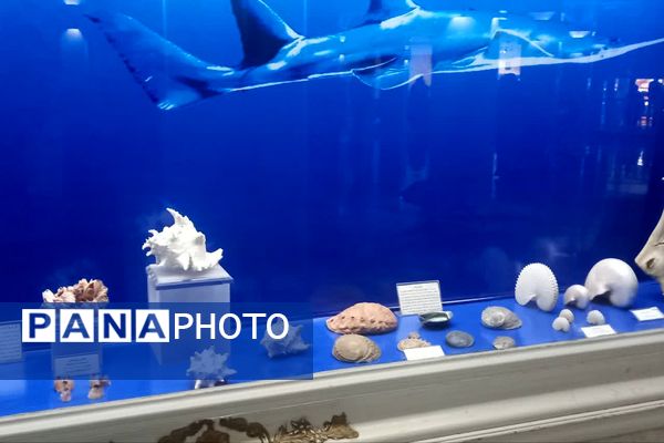 بازدید دانش آموزان پیشتاز اعزامی به مشهد از موزه حرم مطهر رضوی 