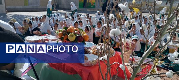 در پاسداشت فرهنگ کهن ایرانی؛ یلدا