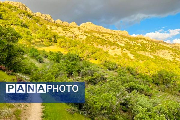 جلوه‌های بهاری طبیعت یاسوج