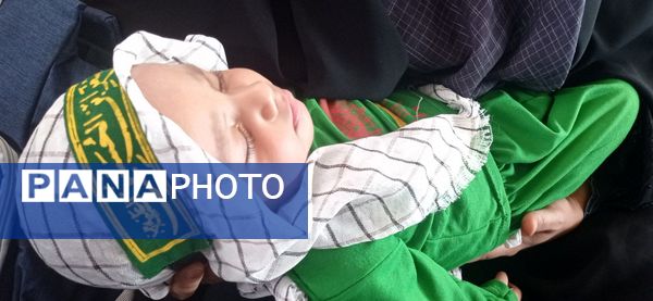 سوگواره شیر خوارگان حسینی در تازیان پایین