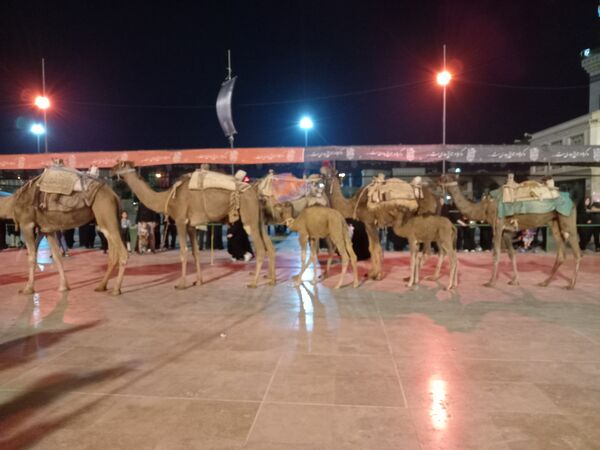 عزاداری هیات بنت الحسین (ع) در حرم بانوی کرامت 
