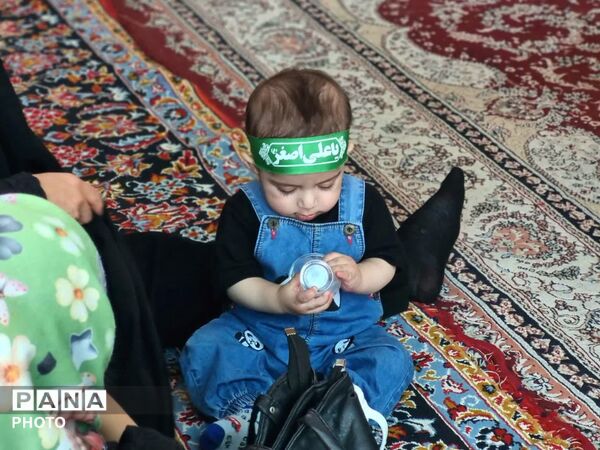 از گهواره تا کربلا؛ همایش شیرخوارگان حسینی در امامزاده کرار