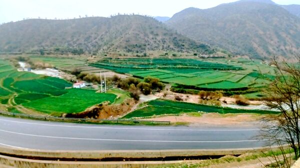 طبیعت بهاری، یک یادآوری دوست داشتنی