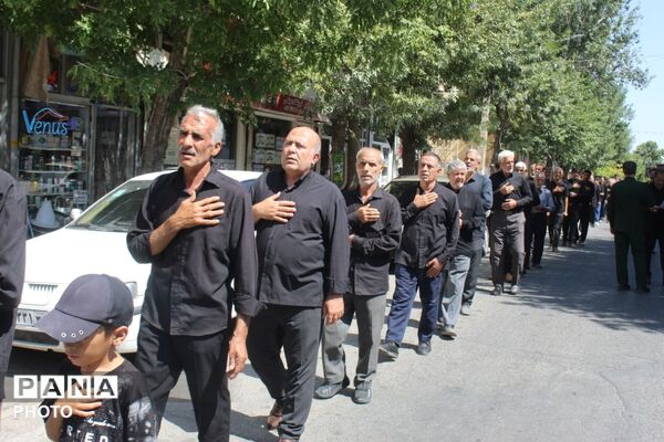 جاماندگان اربعین در ملکان؛ هم‌قدمی با کاروان عشق حسینی