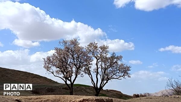 رویش شکوفه های امید در فصل بهار روستای برزنون 