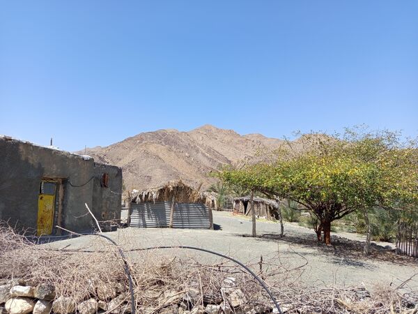 روز طبیعت در خانه‌ای کوچک و دلنشین بی‌‌بی گل و آقا جان
