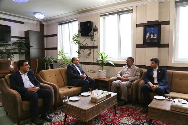 مربیان تشکیلاتی بازوان توانمند تعلیم و تربیت در مدارس هستند