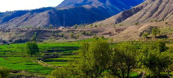 طبیعت بهاری، فرصتی برای سرزندگی روح 