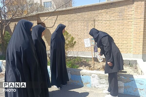 یادِ سبزِ شجره طیبه، در دلمان شکوفا شد