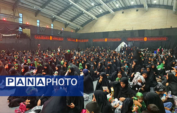 همایش شیرخوارگان حسینی(ع) در قم -3