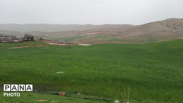 نگین سبز زاگرس 