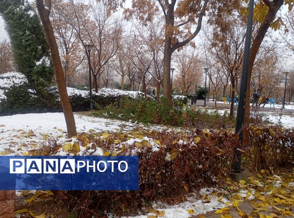 بارش برف در شهر زیبای مشهد 