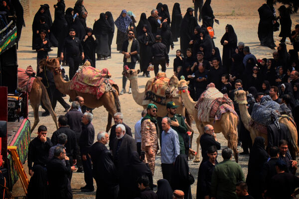 از کودک تا بزرگ پای مکتب حسین(ع)