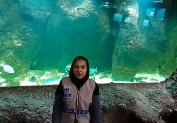 اردوی تفریحی و آموزشی دانش‌آموزان مدرسه راه پویش رودهن در اقیانوس پارک برگزار شد