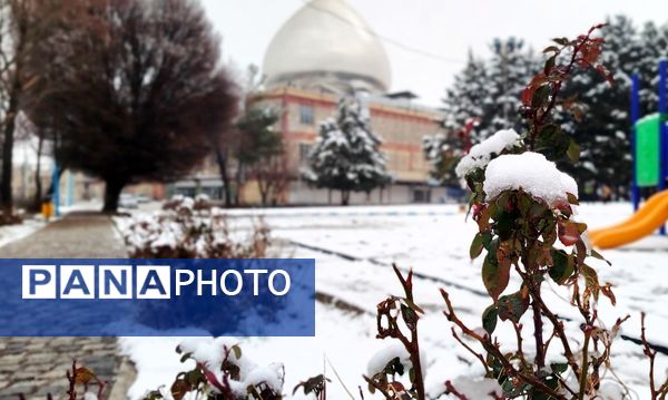 لردگان میزبان اولین برف زمستانی 