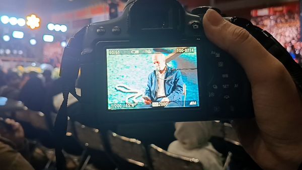 هل هله‌ی فرشتگان