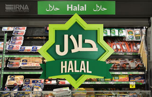 ضرورت برگزاری اکسپوی محصولات حلال