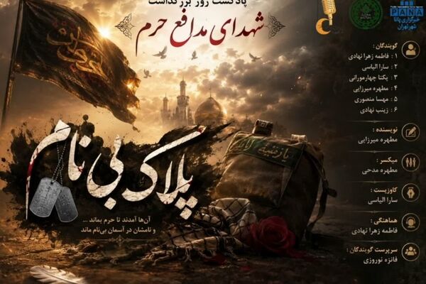 مدافعانی از جنس ایثار و فداکاری 