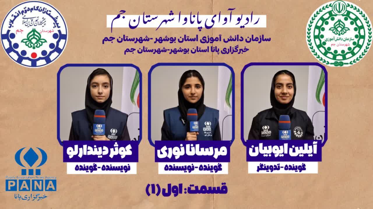 پاناوا آوای خبرگزاری پانا افتتاح شد