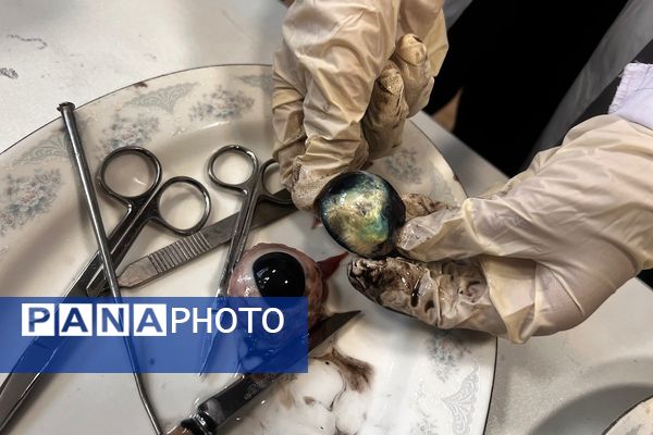 ویژه‌برنامه روز آزمایشگاه در دبیرستان پروفسور رزاقی کهریزک 