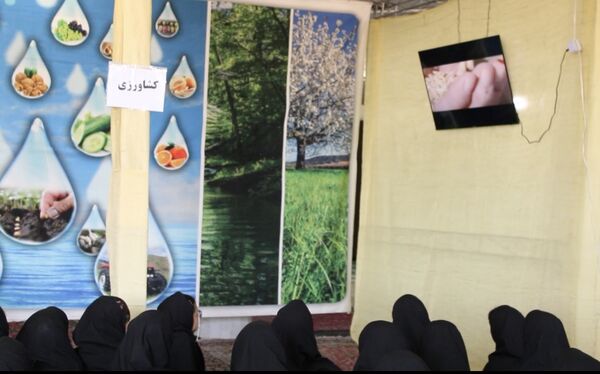 نمایشگاه «امید» در شهرستان تربت‌جام؛ ابزاری حیاتی برای خنثی‌سازی تهاجم رسانه‌ای دشمنان
