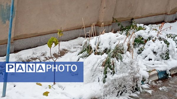 سپیدی بر چهره نیشابور، لبخند پاییز بر دیار فیروزه‌ای