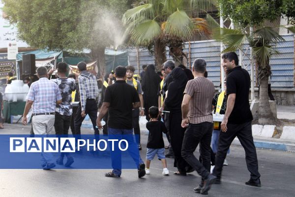 عشق حسینی در دل جنوب 