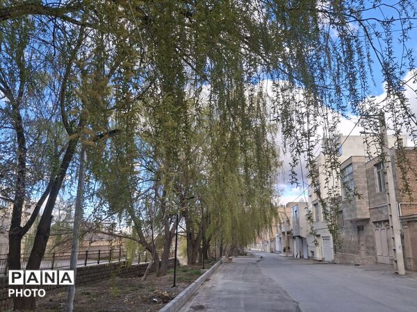 چهره بهاری شهرستان سامان