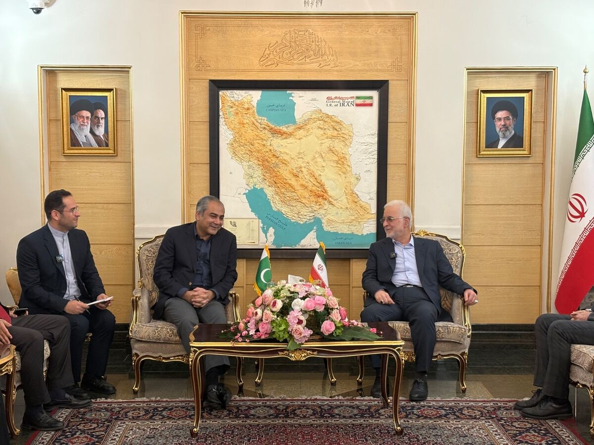 ورود وزیر کشور پاکستان به تهران با استقبال اسکندر مومنی