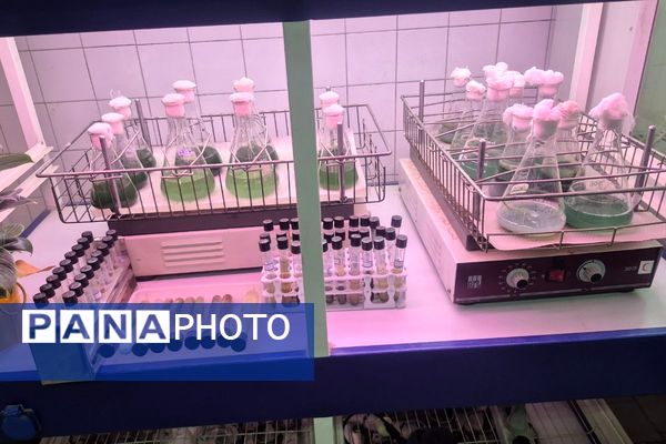 بازدید دانش‌آموزان فرزانگان۱ از مجتمع تحقیقاتی عصر انقلاب