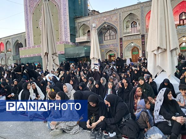 کبوتر حرم مشهد مقدس