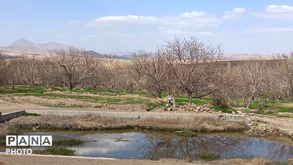 رویش شکوفه های امید در فصل بهار روستای برزنون 