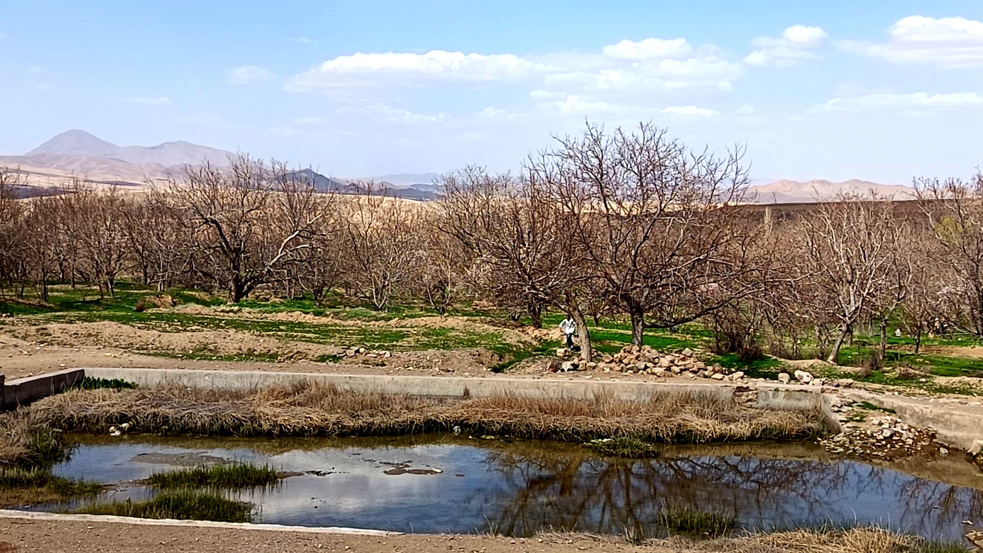 رویش شکوفه های امید در فصل بهار روستای برزنون 
