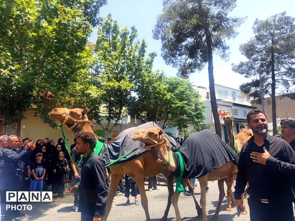 مراسم عزاداری تاسوعای  حسینی در حسینیه ابوالفضلی کاشمر 