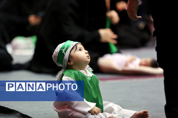 همایش شیرخوارگان حسینی در قم -1